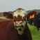 Cattle: Pine River Ranch 7
